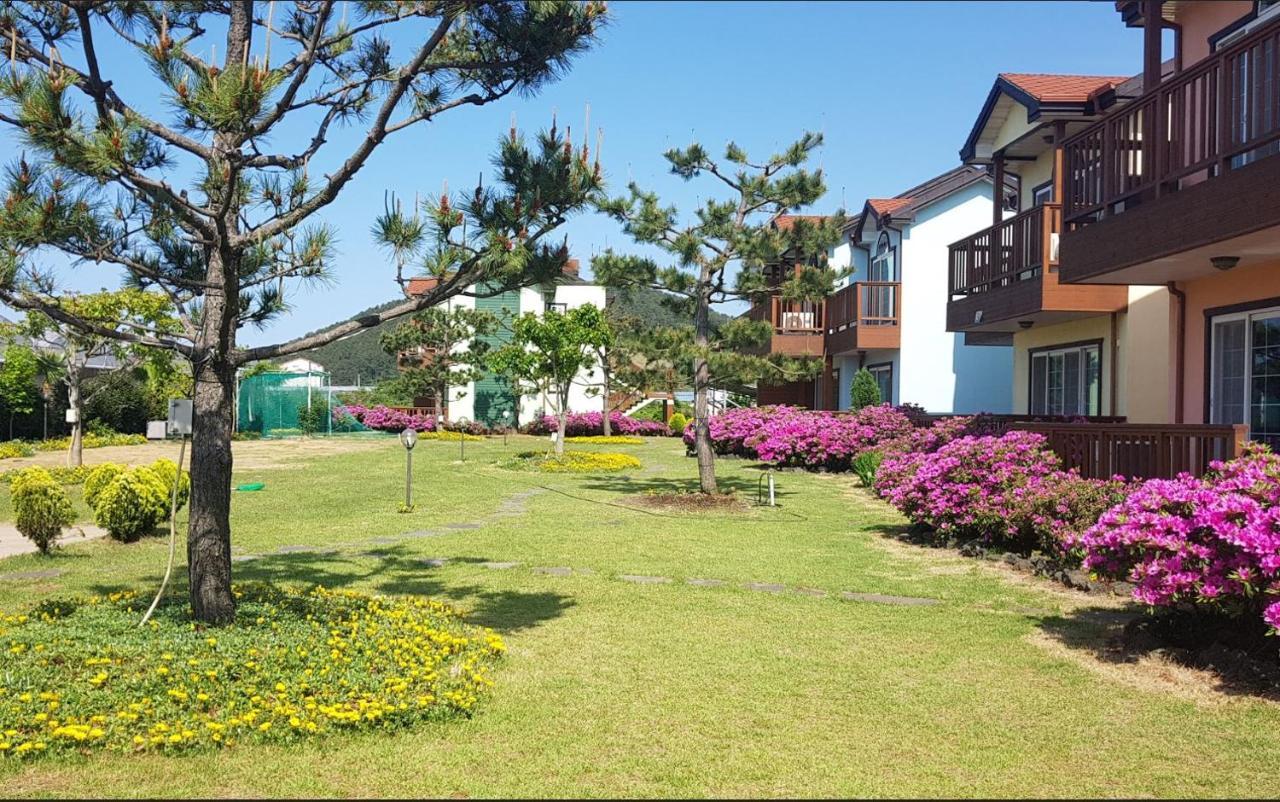 Jeju Time-Travel Pension Exterior photo